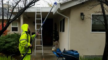 gutter cleaning