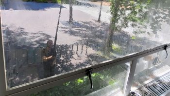 professional window cleaning