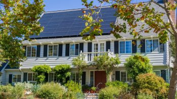 Professional Solar Panel Cleaning