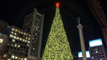 a giant lit-up outdoor Christmas tree next to high rise clean building
