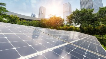 maximize the efficiency of your solar panels by keeping them sparkling like these