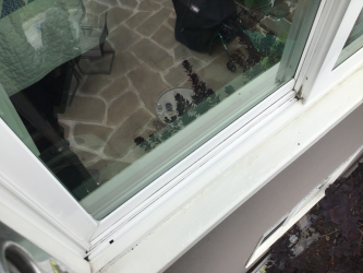 windows clean on glass, sill, and track